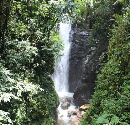 catarata del tigre