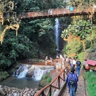 rio de tigre